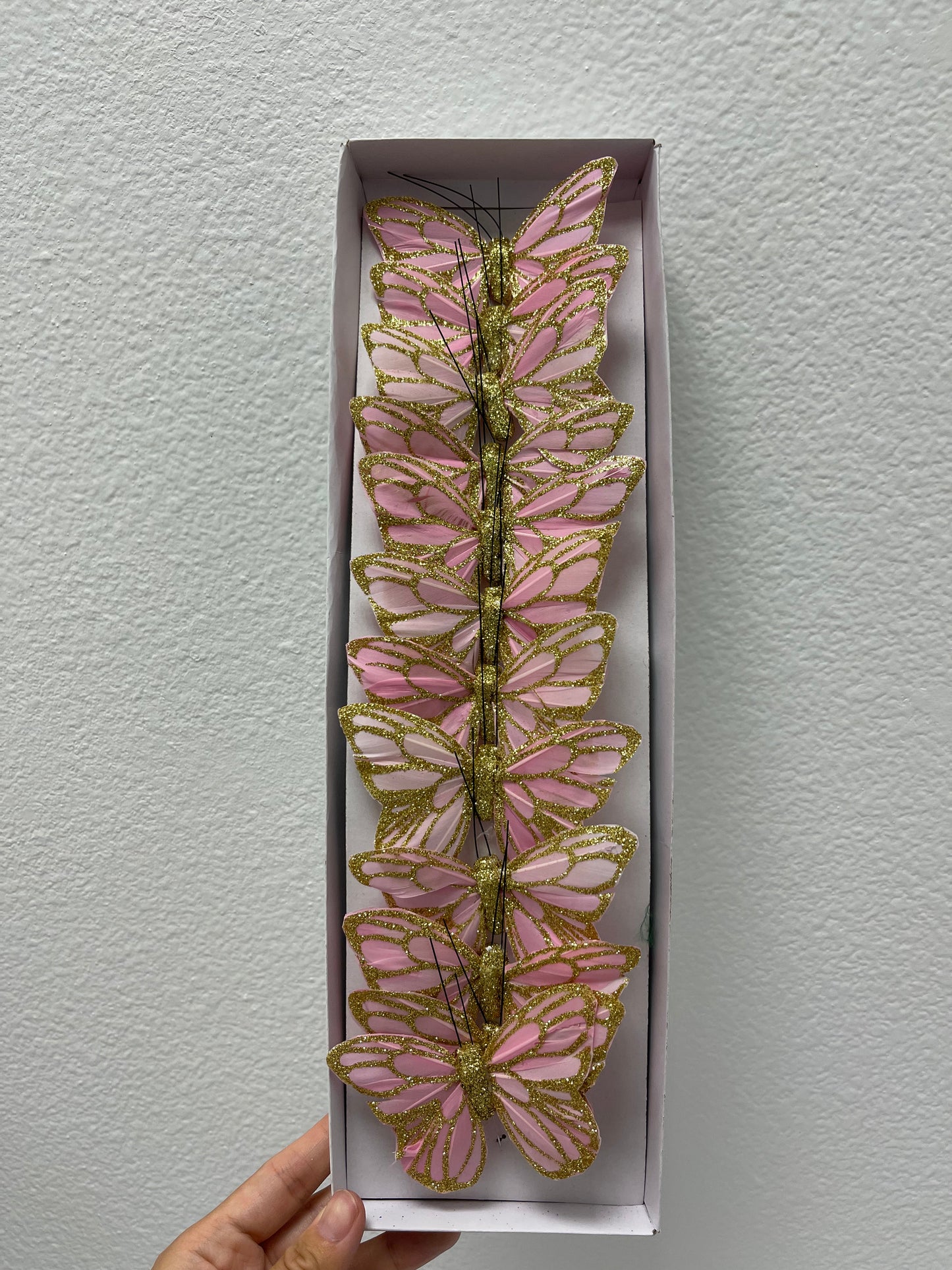 Butterfly made with feather by box